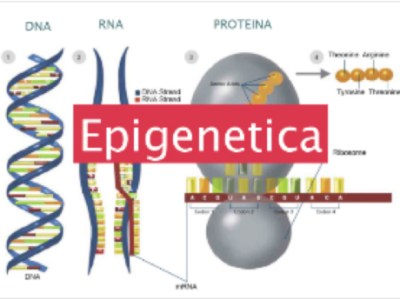 Che cosa è l’Epigenetica