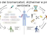 I biomarcatori plasmatici nella malattia di&nbsp;Alzheimer